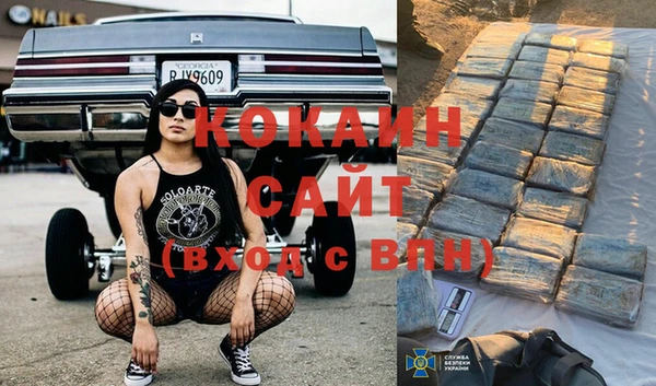 спайс Чита
