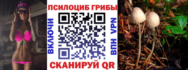 Галлюциногенные грибы Magic Shrooms  как найти закладки  Ухта 
